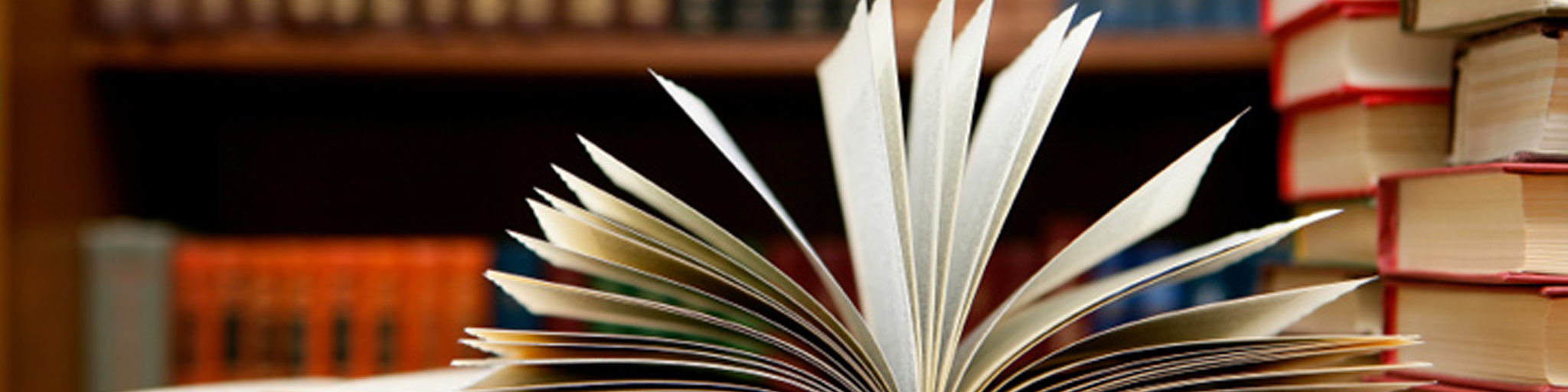 About Journal